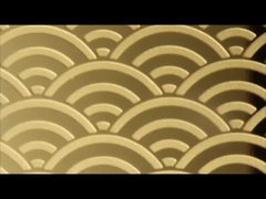 Acciaio inossidabile in lamiera di acciaio inossidabile