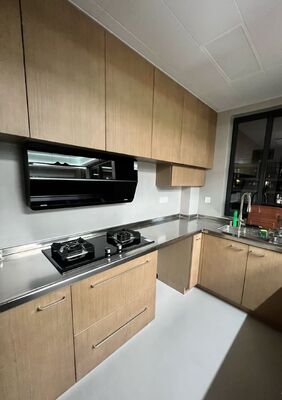 Prezzo buono Lavello da cucina in acciaio inossidabile antigraffio da 28 pollici con piano di lavoro, vasca singola in linea